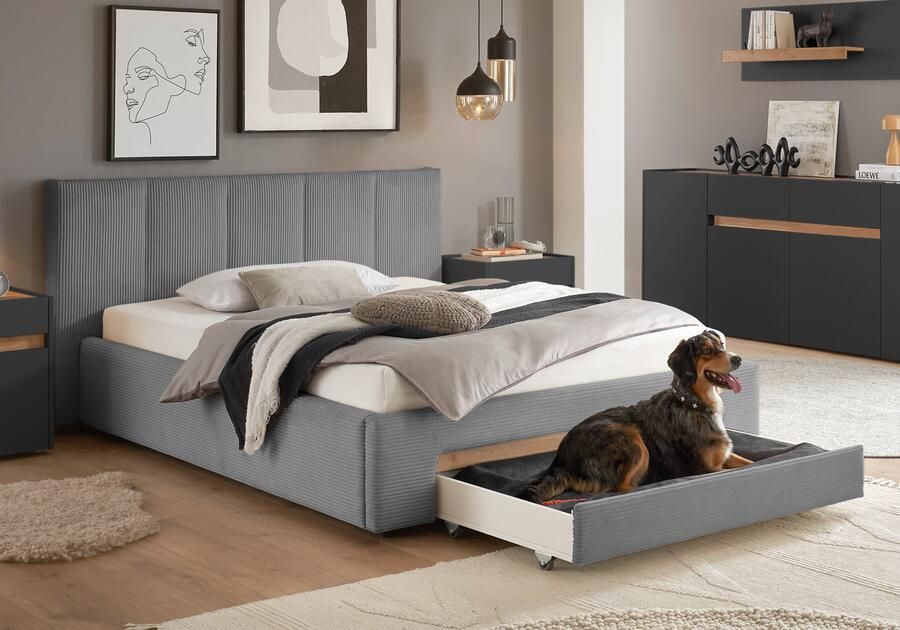 INOSIGN Gestoffeerd bed CiTY GiRON bedframe met bedlade gestoffeerd opbergbed met hondenbed of opberglade bekleding van corduroy of linnenlook - Foto 12