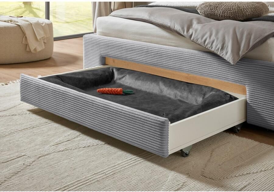 INOSIGN Gestoffeerd bed CiTY GiRON gepolsterd opbergbed met LED-verlichting Bedkisten met hondenbed of als opbergruimte opklapbare hoofdeinden - Foto 7