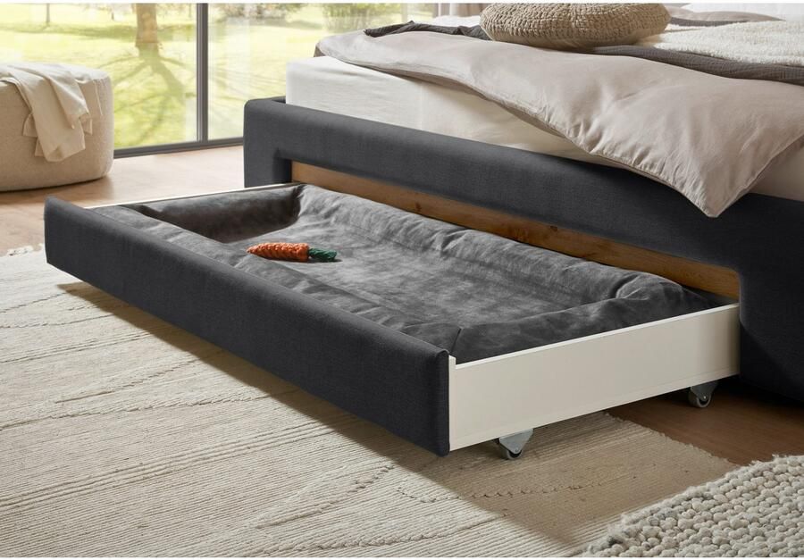 INOSIGN Gestoffeerd bed CiTY GiRON gepolsterd opbergbed met LED-verlichting Bedkisten met hondenbed of als opbergruimte opklapbare hoofdeinden - Foto 5