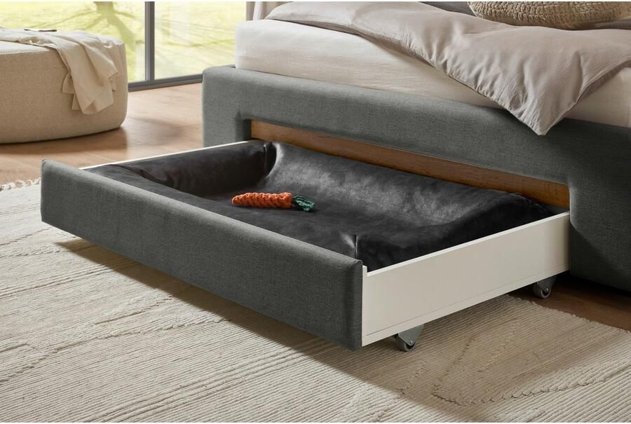 INOSIGN Gestoffeerd bed CiTY GiRON gepolsterd opbergbed met LED-verlichting Bedkisten met hondenbed of als opbergruimte opklapbare hoofdeinden - Foto 9