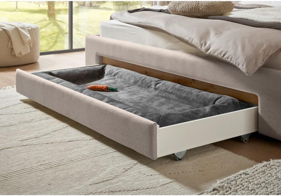 INOSIGN Gestoffeerd bed CiTY GiRON gepolsterd opbergbed met LED-verlichting Bedkisten met hondenbed of als opbergruimte opklapbare hoofdeinden - Foto 5