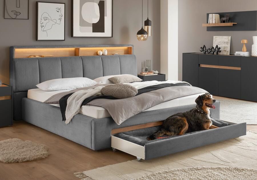 INOSIGN Gestoffeerd bed CiTY GiRON gepolsterd opbergbed met LED-verlichting Bedkisten met hondenbed of als opbergruimte opklapbare hoofdeinden - Foto 12