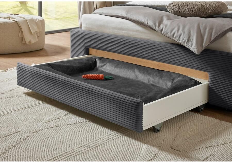 INOSIGN Gestoffeerd bed CiTY GiRON bedframe met bedlade gestoffeerd opbergbed met hondenbed of opberglade bekleding van corduroy of linnenlook - Foto 5