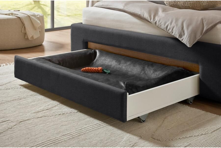 INOSIGN Gestoffeerd bed CiTY GiRON gepolsterd opbergbed met LED-verlichting Bedkisten met hondenbed of als opbergruimte opklapbare hoofdeinden - Foto 9