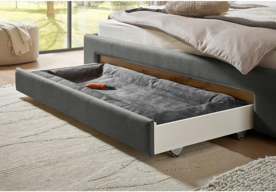 INOSIGN Gestoffeerd bed CiTY GiRON gepolsterd opbergbed met LED-verlichting Bedkisten met hondenbed of als opbergruimte opklapbare hoofdeinden - Foto 5