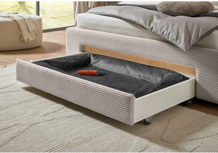 INOSIGN Gestoffeerd bed CiTY GiRON gepolsterd opbergbed met LED-verlichting Bedkisten met hondenbed of als opbergruimte opklapbare hoofdeinden - Foto 7