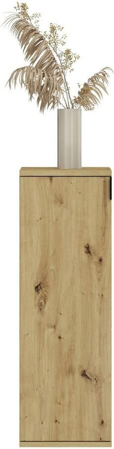 INOSIGN Kast Trondheim Breedte 30 cm 1 Deur 3 Planken 4 Vakken Deurdrager verwisselbaar garderobecommode schoenenkast schoenencommode - Foto 5