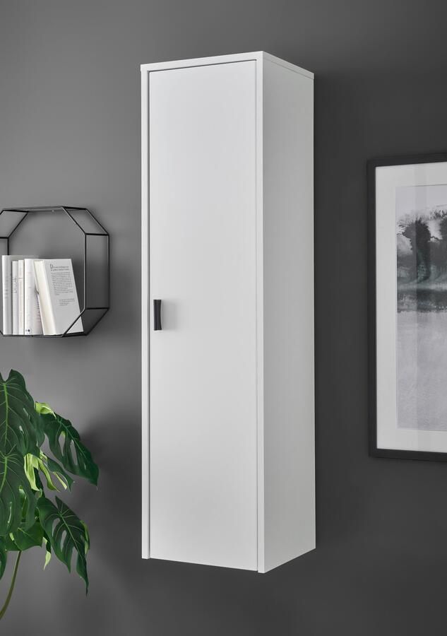 INOSIGN Multifunctionele kast Hudson in moderne trendkleur handgrepen van metaal (zwart) hoogte 120 cm