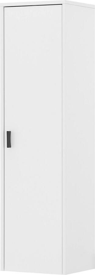 INOSIGN Multifunctionele kast Hudson in moderne trendkleur handgrepen van metaal (zwart) hoogte 120 cm - Foto 4