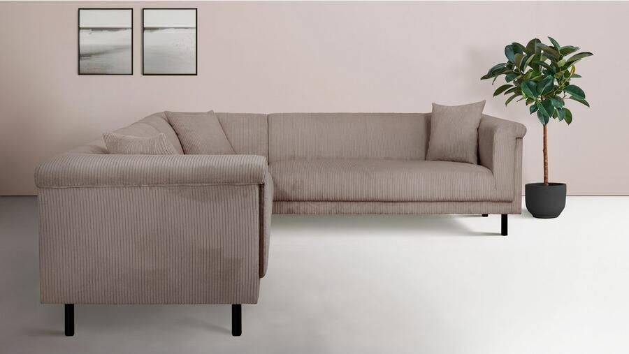 INOSIGN Hoekbank AGNIA L-vorm BxDxH: 244x244x71 cm incl. sierkussen gelijkbenig ook in cord - Foto 2