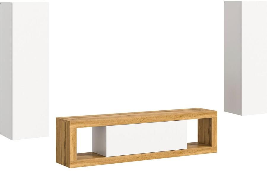 INOSIGN Wandmeubel Trinity Breedte 240 cm 1 Lowboard (staand en hangend monteerbaar)(3-delig) - Foto 4