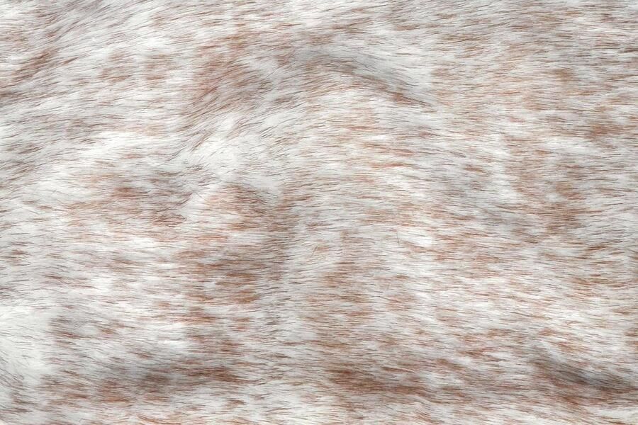 Kayoom Hocker Mio 1 bont hocker in modern ontwerp ronde vorm met metalen poten (1 stuk) - Foto 3