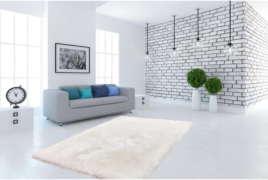 Calo-deluxe Hoogpolig vloerkleed Giora 200 getuft bijzonder zacht door microvezel woonkamer slaapkamer - Foto 4