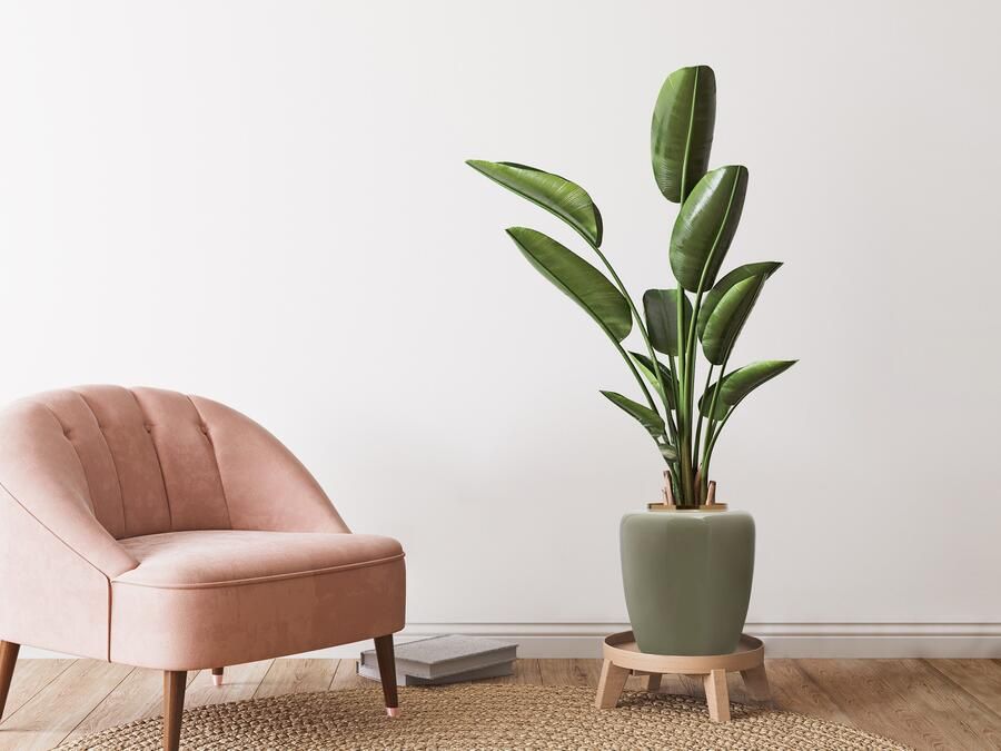 Kayoom Siervaas Vaas Artisse 125 Decoratieve metalen vaas glanzend gelakt interne verzegeling - Foto 3