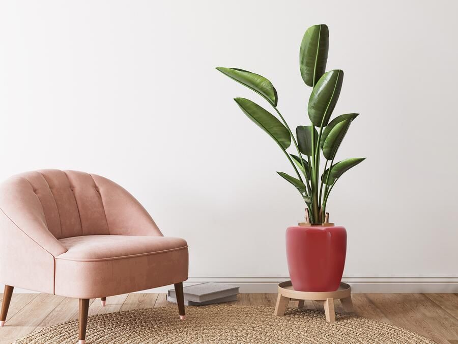 Kayoom Siervaas Vaas Artisse 125 Decoratieve metalen vaas glanzend gelakt interne verzegeling - Foto 3