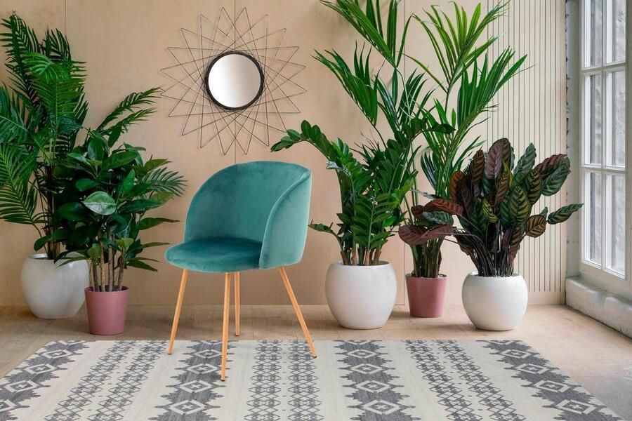 Kayoom Stoel Celina 110 2-pack grijs fluweelzachte bekleding in moderne kleurstelling (set 2 stuks) - Foto 5