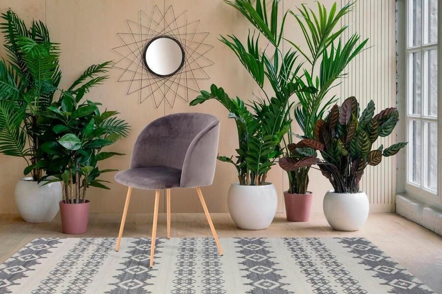 Kayoom Stoel Celina 110 2-pack grijs fluweelzachte bekleding in moderne kleurstelling (set 2 stuks) - Foto 5