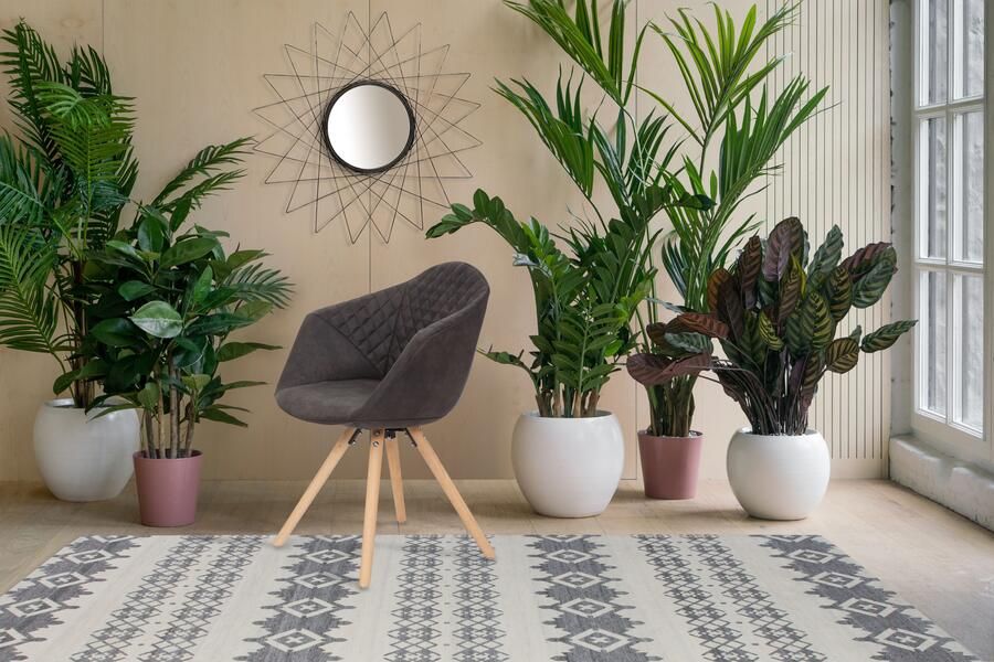 Kayoom Stoel Chadwick 110 2-delige set stijlvol design in natuurlijke kleuren gehouden (set 2 stuks) - Foto 5