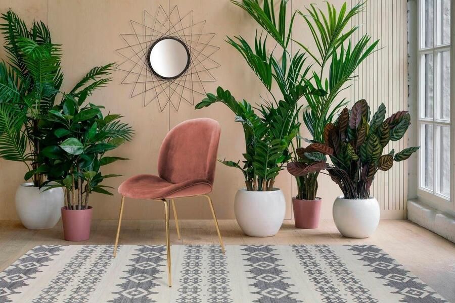 Kayoom Floraya Set 2 eetkamerstoelen Charlize Oudroze 59x47x90cm (LxBxH) Belastbaar tot 150KG - Foto 6