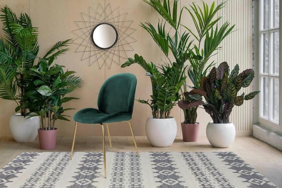 Kayoom Stoel Charlize 110 2-pack TOPSELLER! Eetkamerstoelen moderne uitstraling (set 2 stuks) - Foto 8