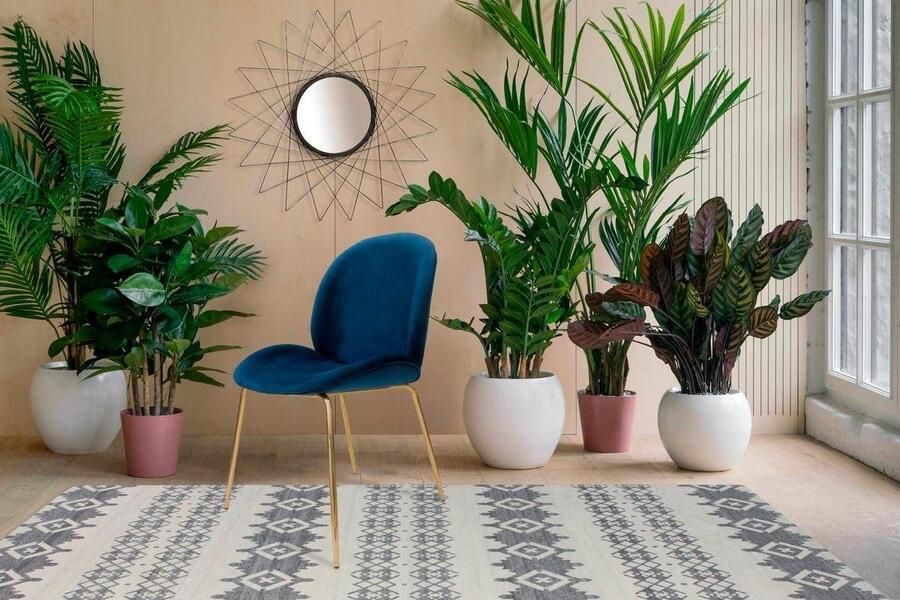 Kayoom Stoel Charlize 110 2-pack TOPSELLER! Eetkamerstoelen moderne uitstraling (set 2 stuks) - Foto 6