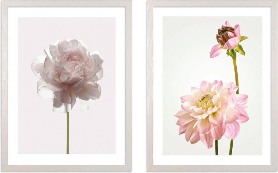 Komar Artprint met lijst Floral Delights - Foto 6