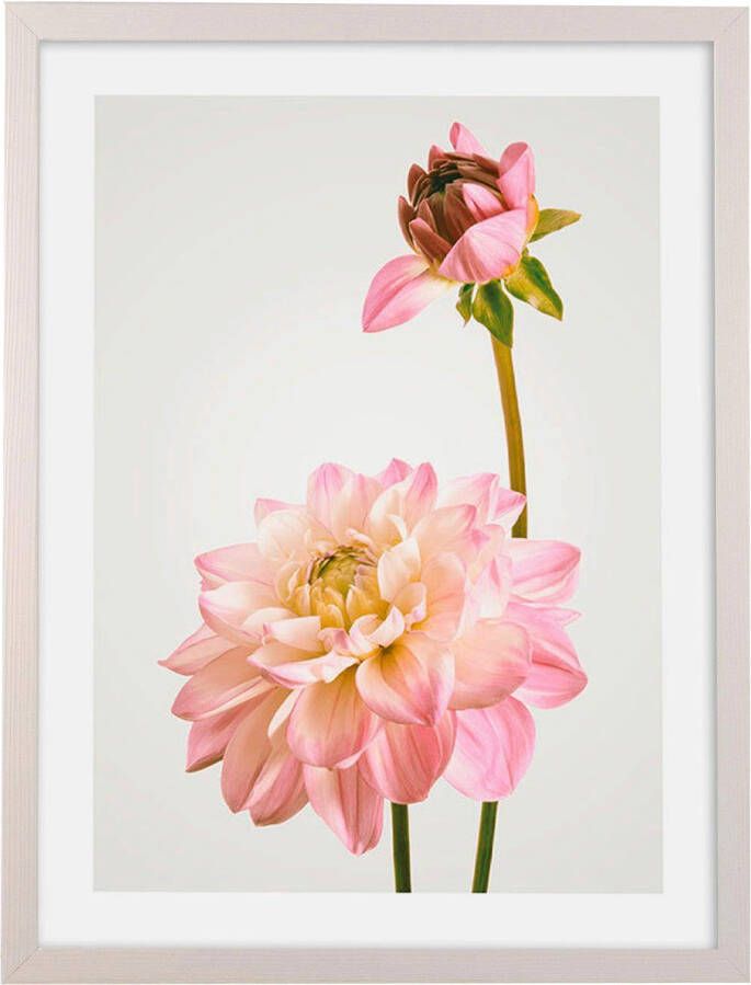 Komar Artprint met lijst Floral Delights - Foto 5