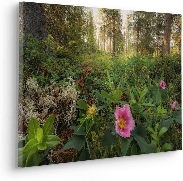 Komar Artprint op linnen Charming Woods 60x40 cm (breedte x hoogte) artprint op spieraam (1 stuk) - Foto 3
