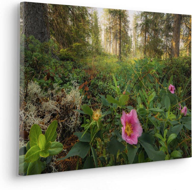 Komar Artprint op linnen Keilrahmenbild Charming Woods Größe 60 x 40 cm 60x40 cm (breedte x hoogte) artprint op spieraam (1 stuk) - Foto 3