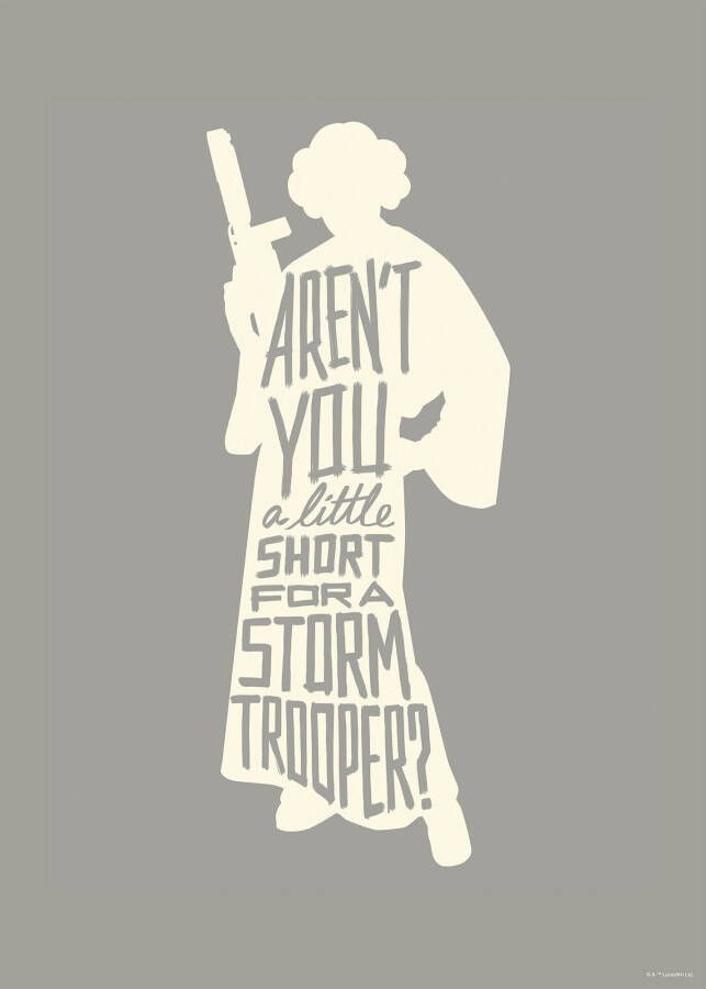 Komar Artprint Star Wars Silhouette Quotes Leia Kinderkamer slaapkamer woonkamer - Foto 3