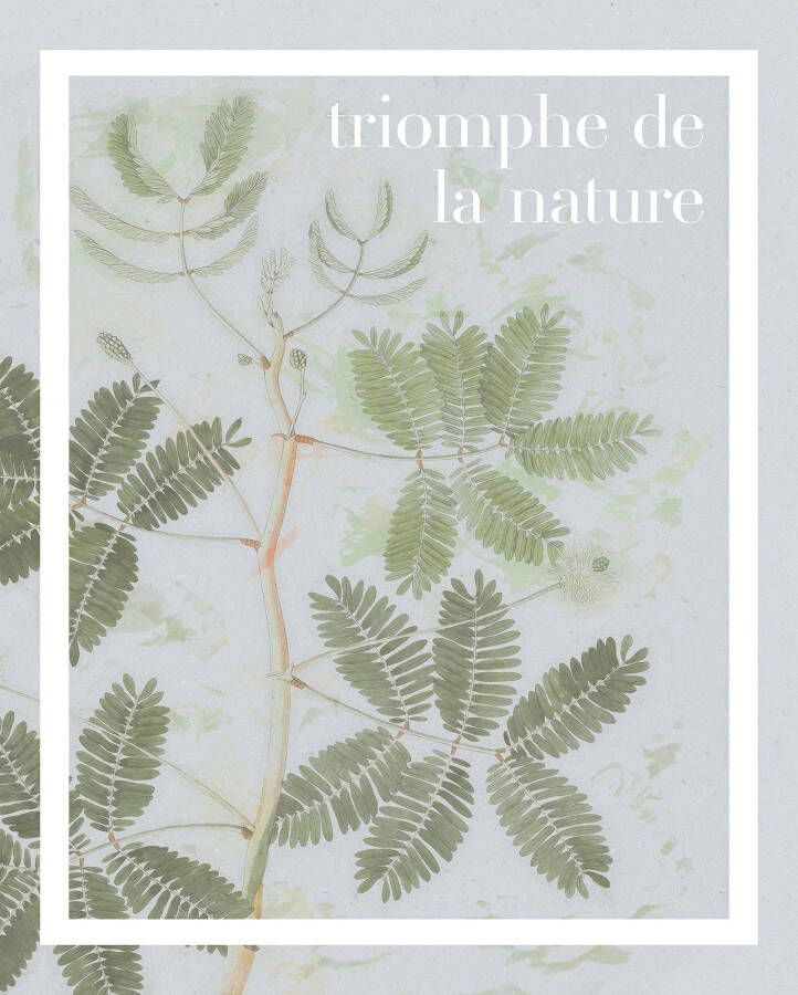 Komar Artprint Triomphe de la nature Kinderkamer slaapkamer woonkamer (1 stuk)
