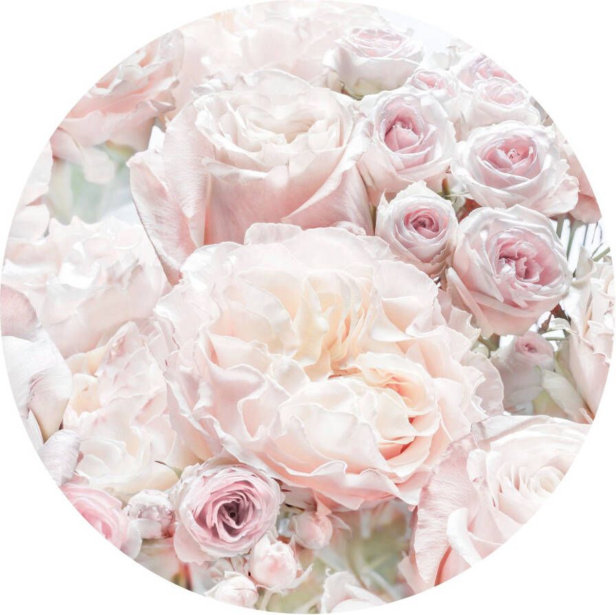 Komar Fotobehang Zelfklevend vlies Pink and Cream Roses Afmeting 125 x 125 cm (1 stuk) - Foto 6