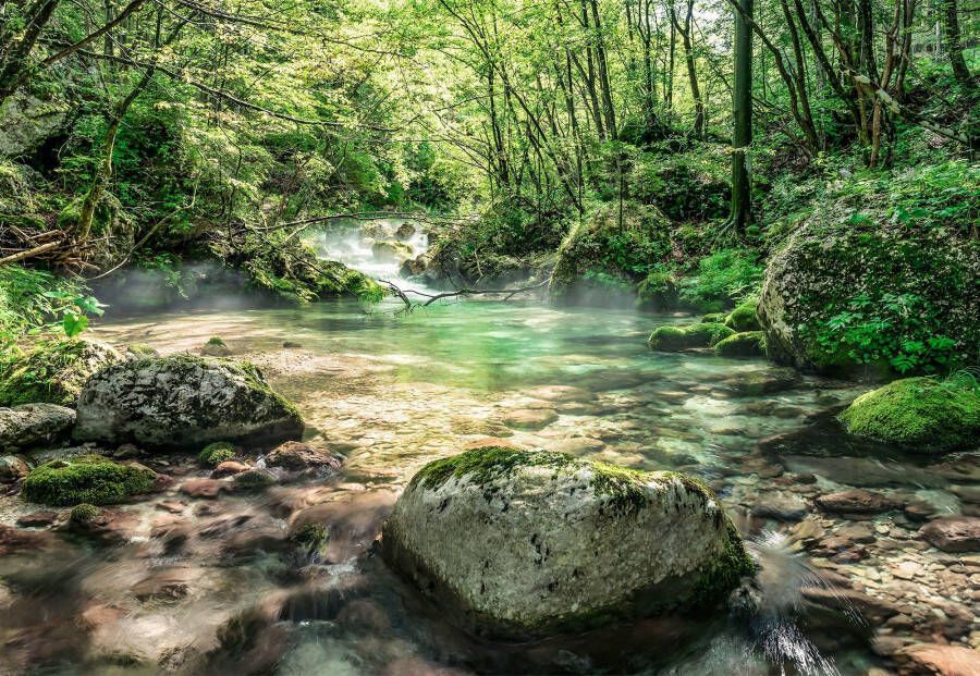 Komar Fotobehang Riverbed 368x254 cm (breedte x hoogte) inclusief pasta (1 stuk) - Foto 4