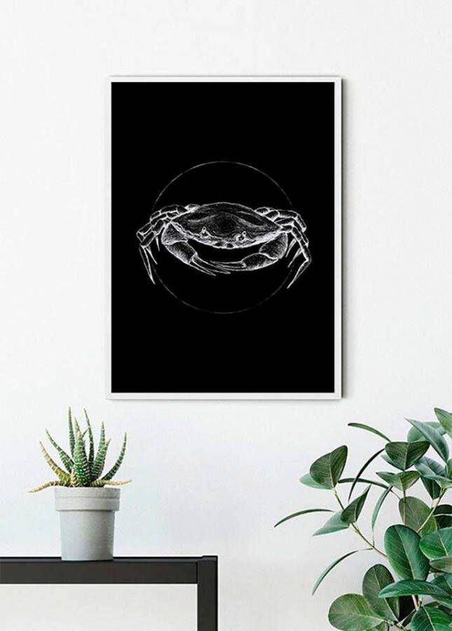 Komar Poster Crab black Kinderkamer slaapkamer woonkamer - Foto 6