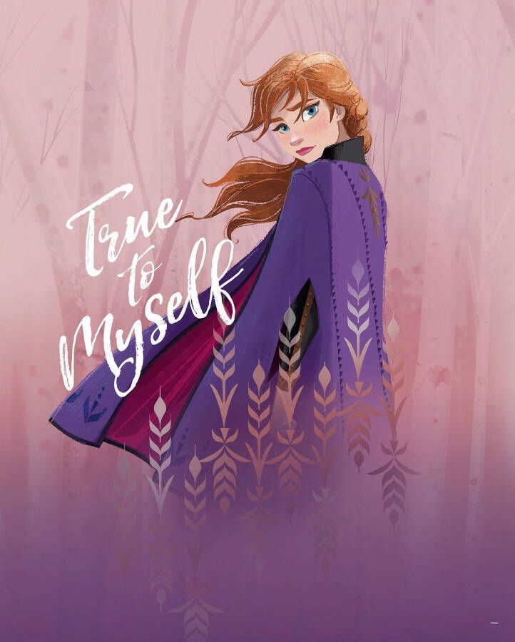 Komar Poster Frozen Anna True to Myself Kinderkamer slaapkamer woonkamer - Foto 5