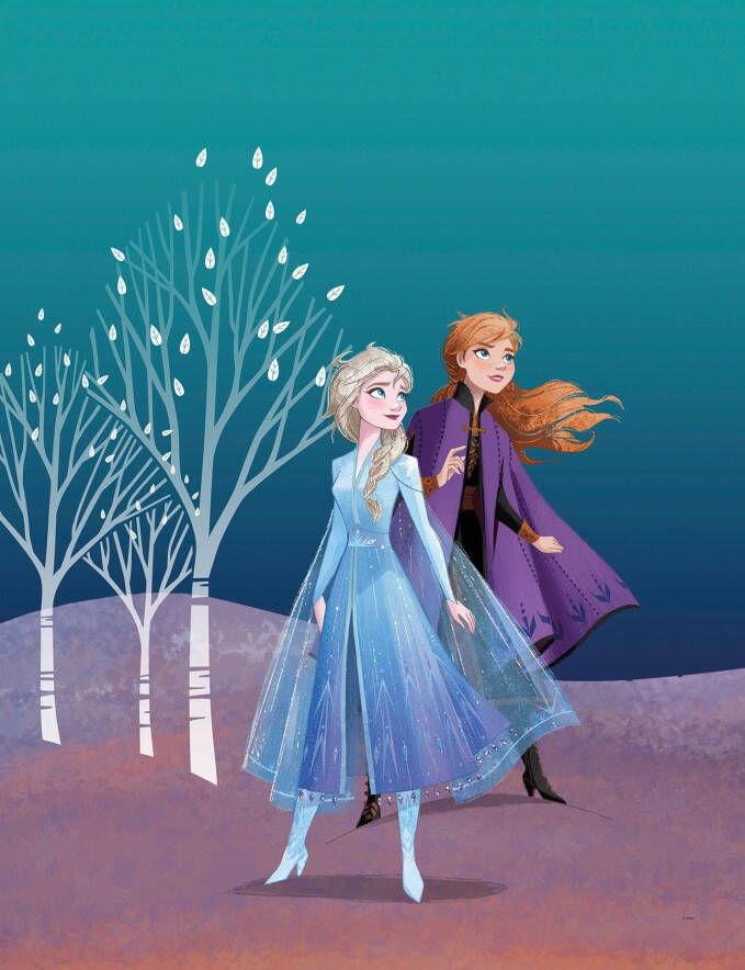 Komar Poster Frozen Sisters Kinderkamer slaapkamer woonkamer - Foto 5