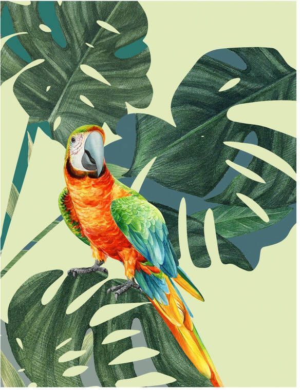 Komar Poster Green-Winged Macaw Kinderkamer slaapkamer woonkamer (1 stuk) - Foto 4