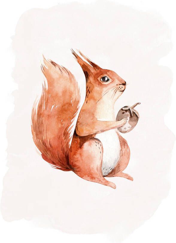 Komar Poster Hungry Squirrel Kinderkamer slaapkamer woonkamer (1 stuk) - Foto 4