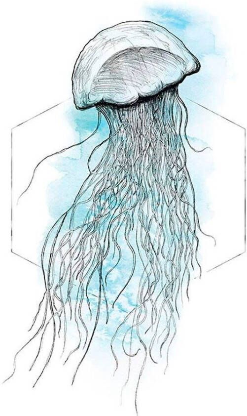 Komar Wanddecoratie Jellyfish Watercolor Wanddecoratie zonder lijst (1 stuk) - Foto 6