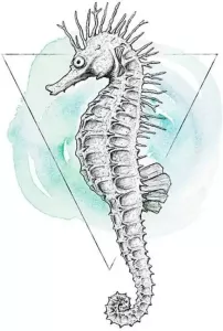 Komar Poster Sea Horse Watercolor Hoogte: 50 cm