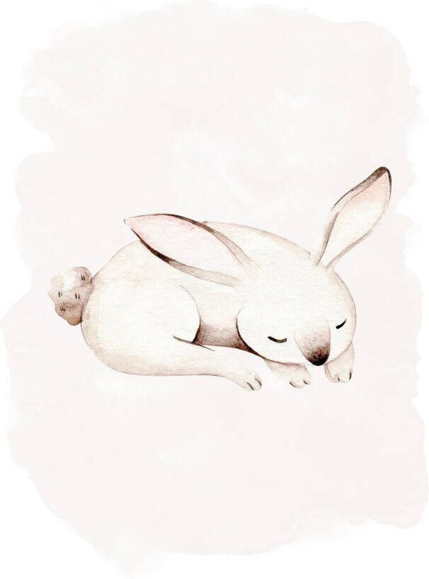 Komar Poster Sleepy Bunny Kinderkamer slaapkamer woonkamer (1 stuk) - Foto 4