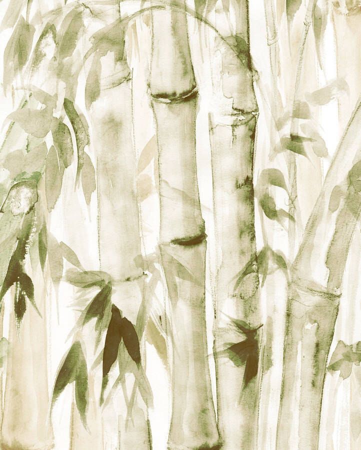 Komar Poster Wild Bamboo Kinderkamer slaapkamer woonkamer (1 stuk) - Foto 4