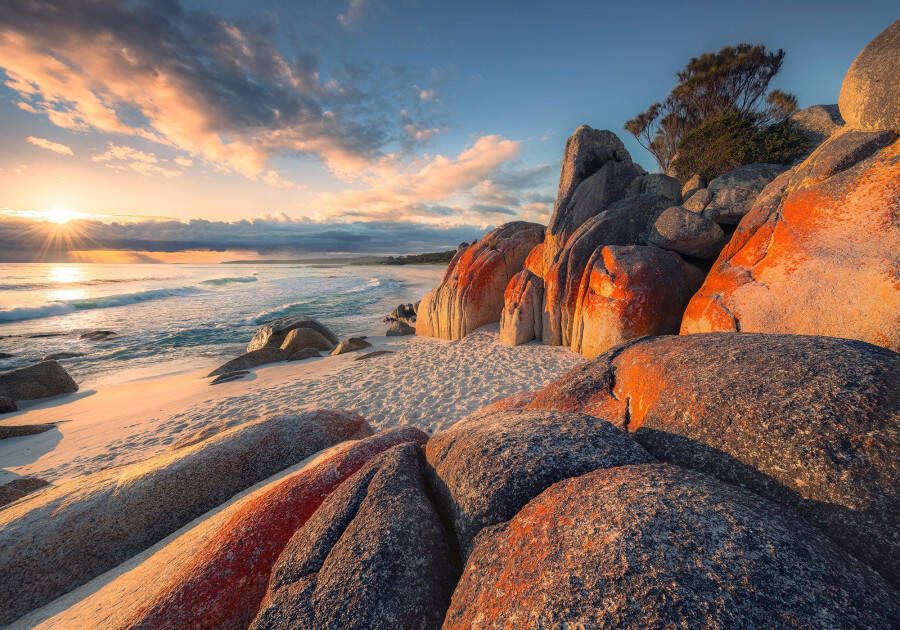 Komar Vliesbehang Digitale print vlies Bay of Fires Afmeting 400 x 280 cm (8 stuks) - Foto 4