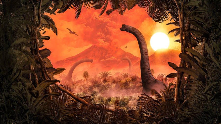 Komar Vliesbehang Brachiosaurus Panorama - Foto 4