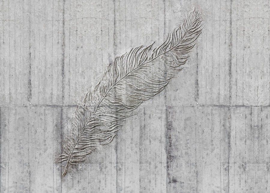 Komar Vliesbehang Concrete Feather 350x250 cm (breedte x hoogte) - Foto 4