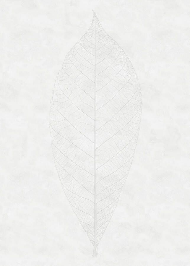 Komar Vliesbehang Decent Leaf (1 stuk) - Foto 3