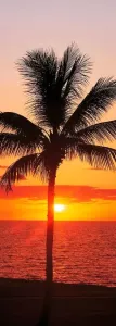 Komar Vliesbehang Hawaii"
