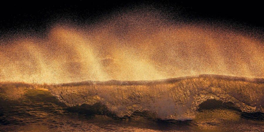 Komar Vliesbehang Hefele Golden Wave (1 stuk) - Foto 4