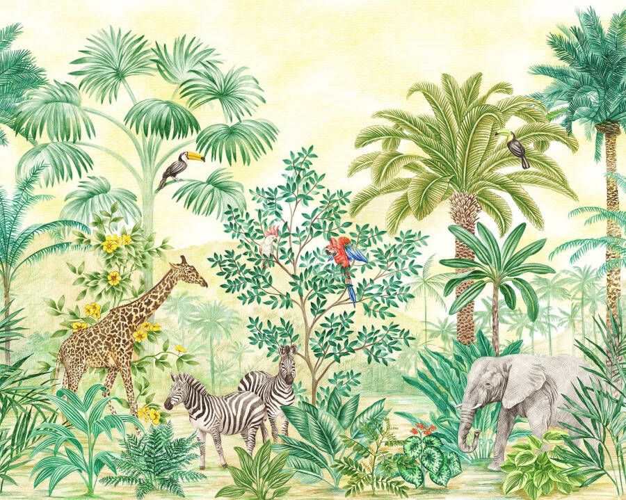 Komar Vliesbehang Jungle Adventure 350x280 cm (breedte x hoogte) - Foto 4