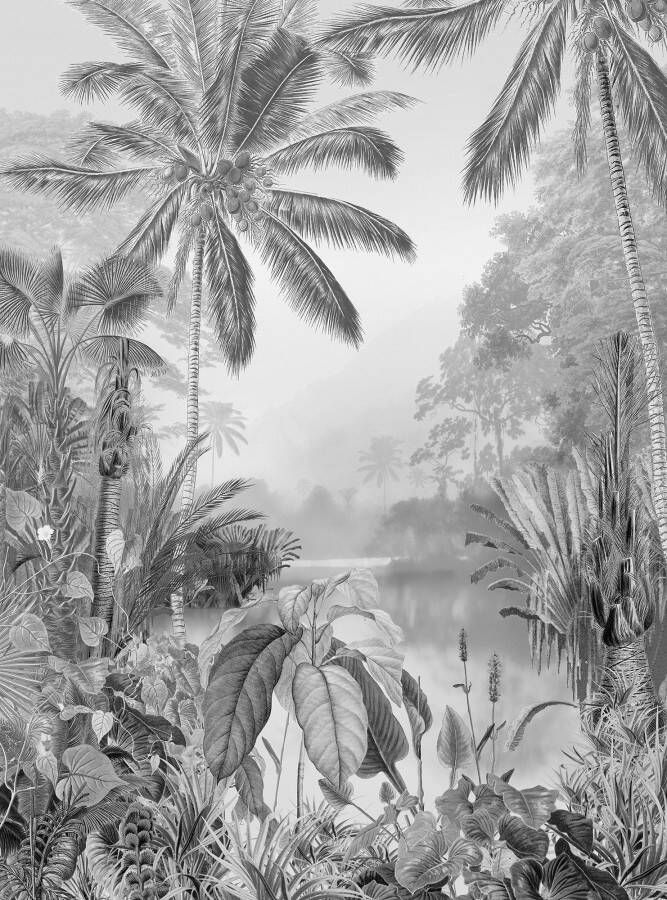 Komar Vliesbehang Lac tropical black & white (1 stuk)